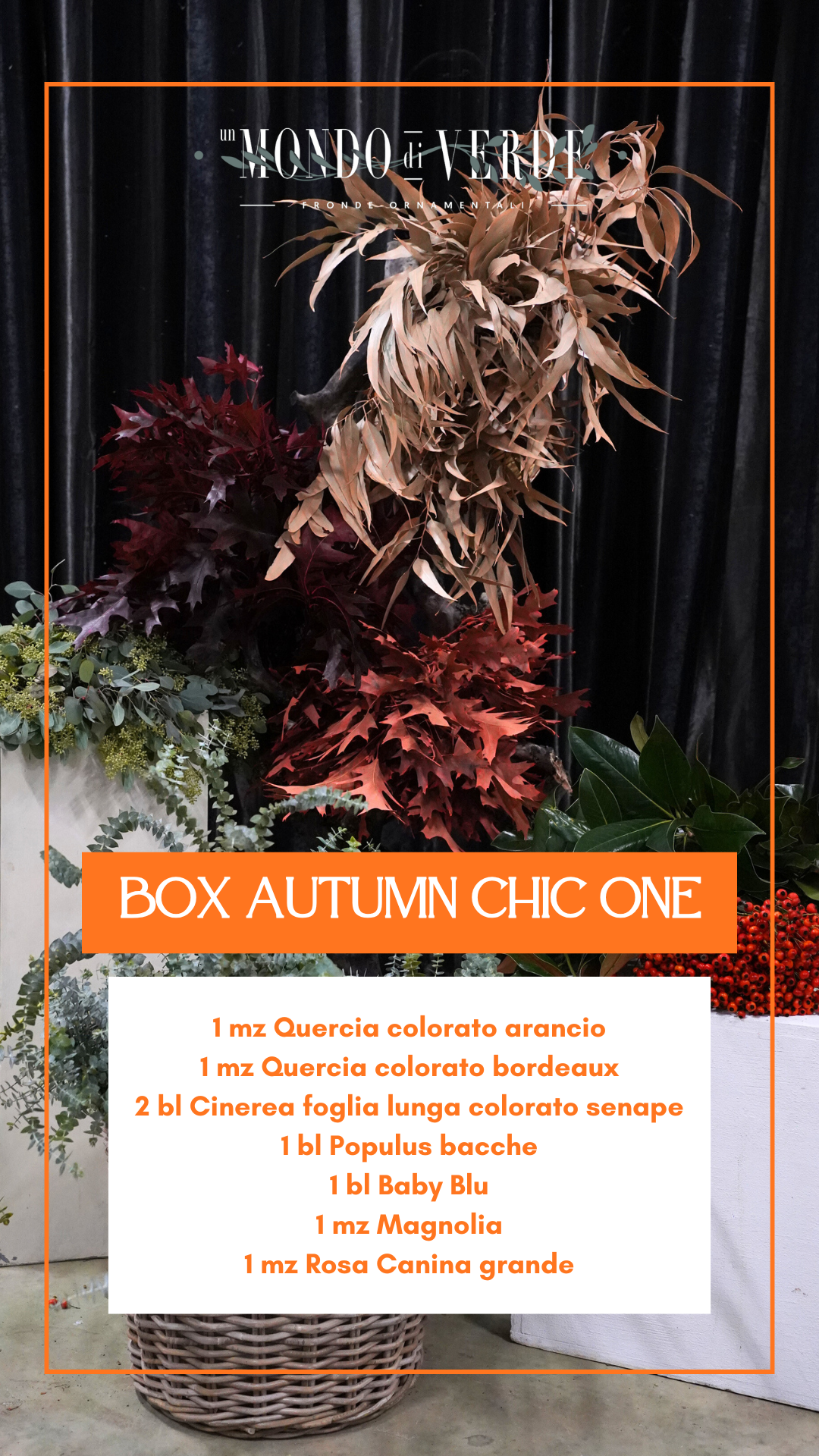 BOX AUTUMN CHIC ONE ๐