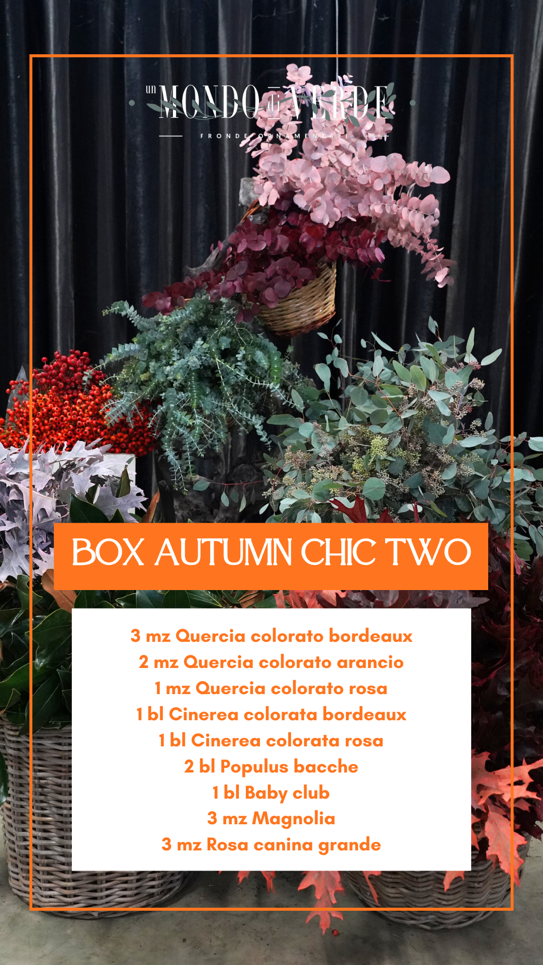 BOX AUTUMN CHIC TWO ๐