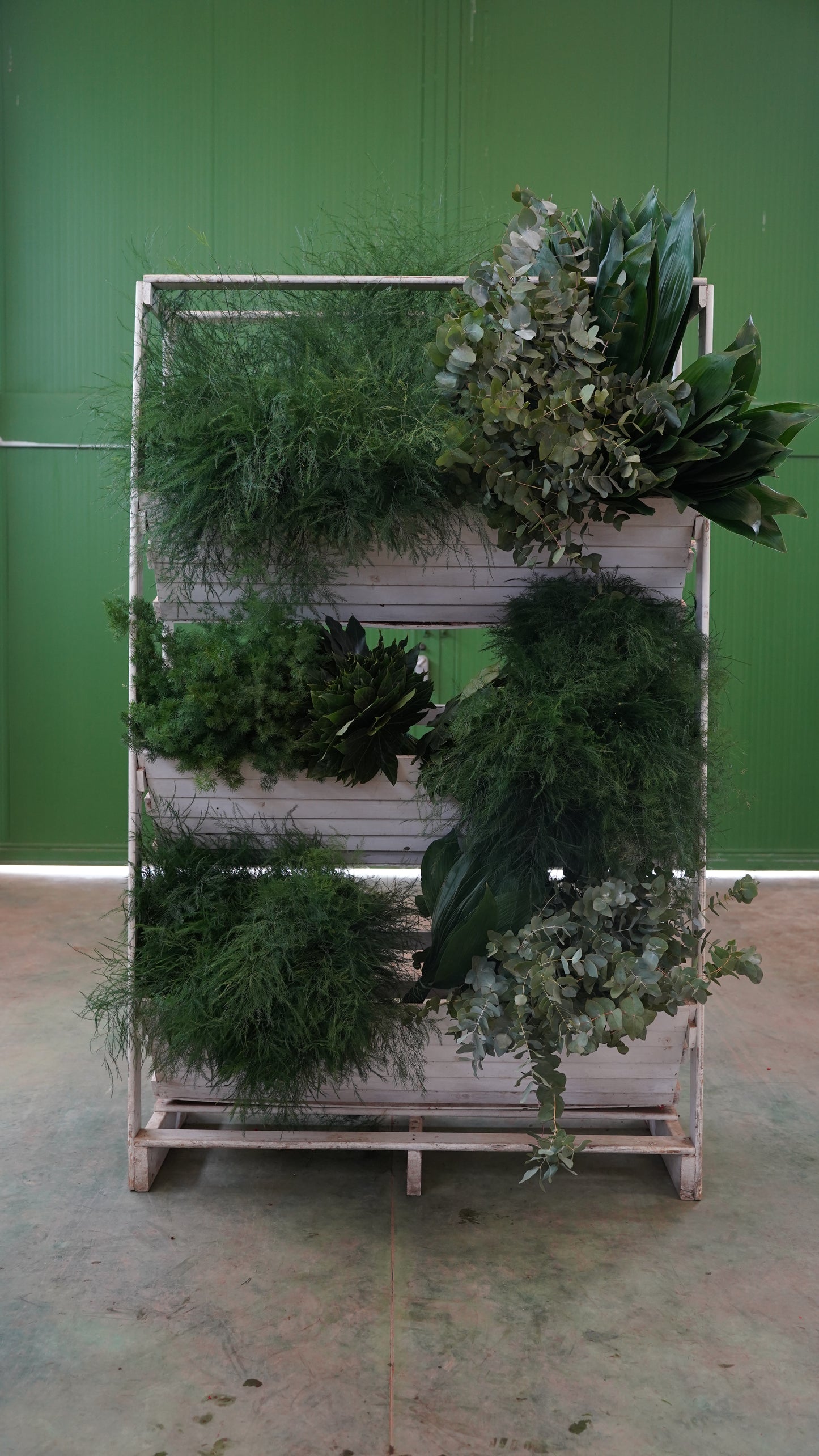 Pacchetto GREEN LOVE π