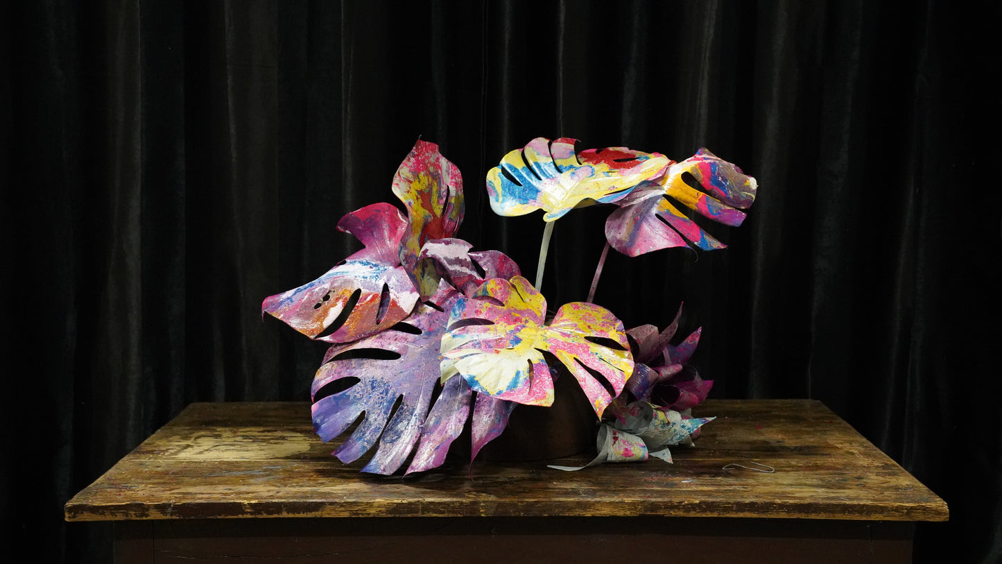 Monstera Colorata SPECIAL EDITION