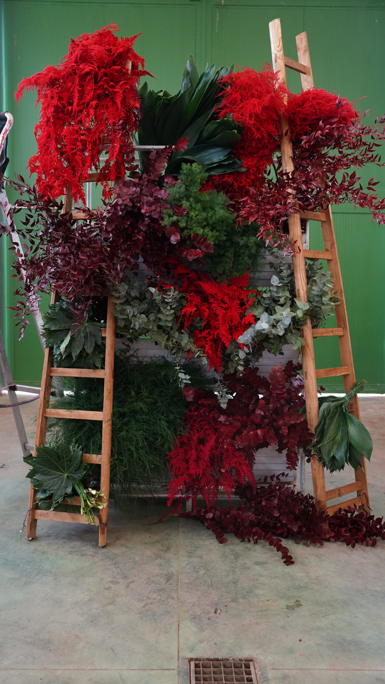 Pacchetti San Valentino 💌