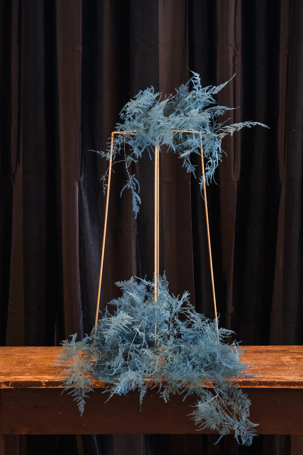 Plumoso Colorato Corto