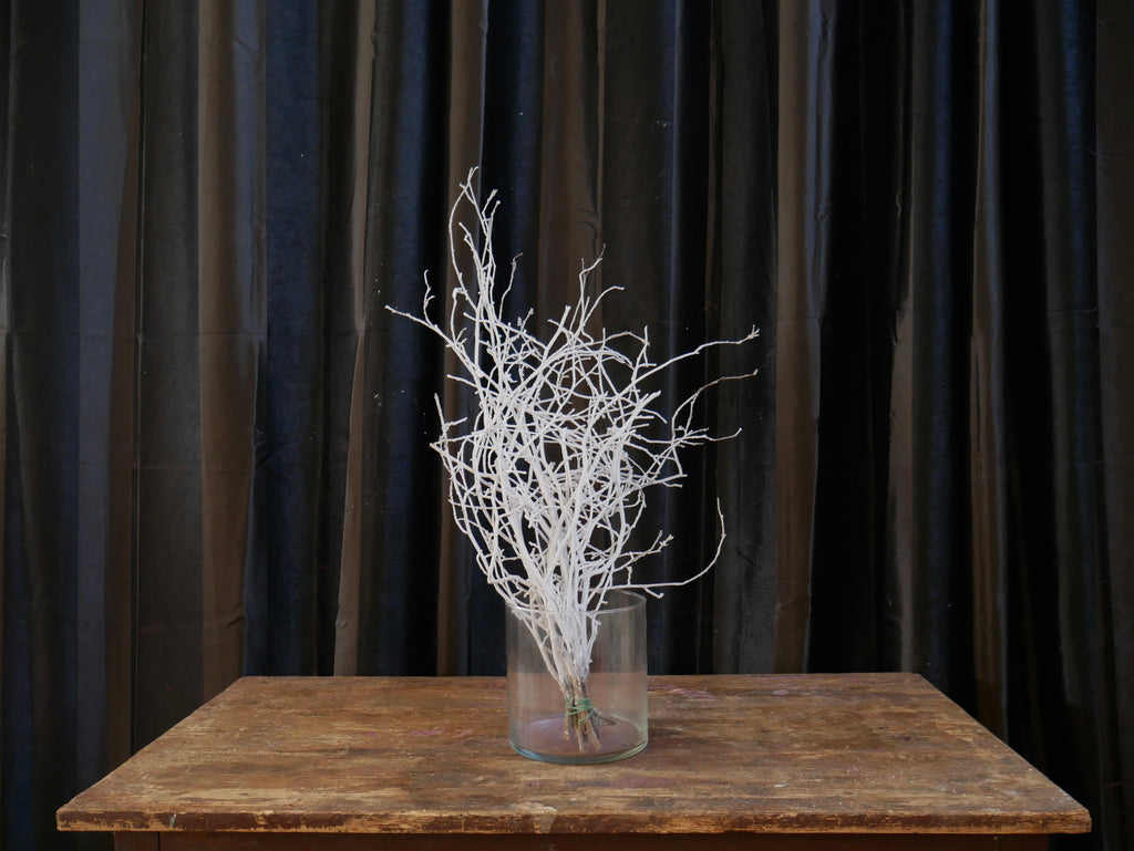 Rami Nocciolino Innevato