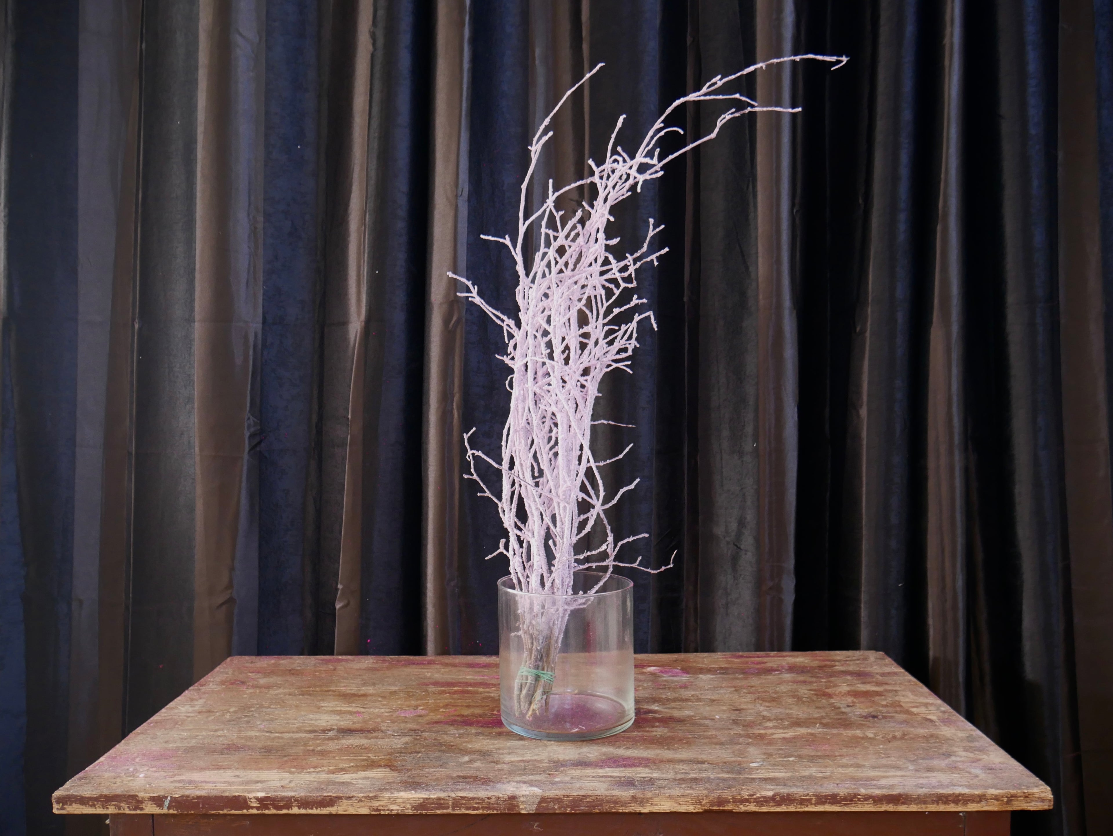 Rami Nocciolino Innevato