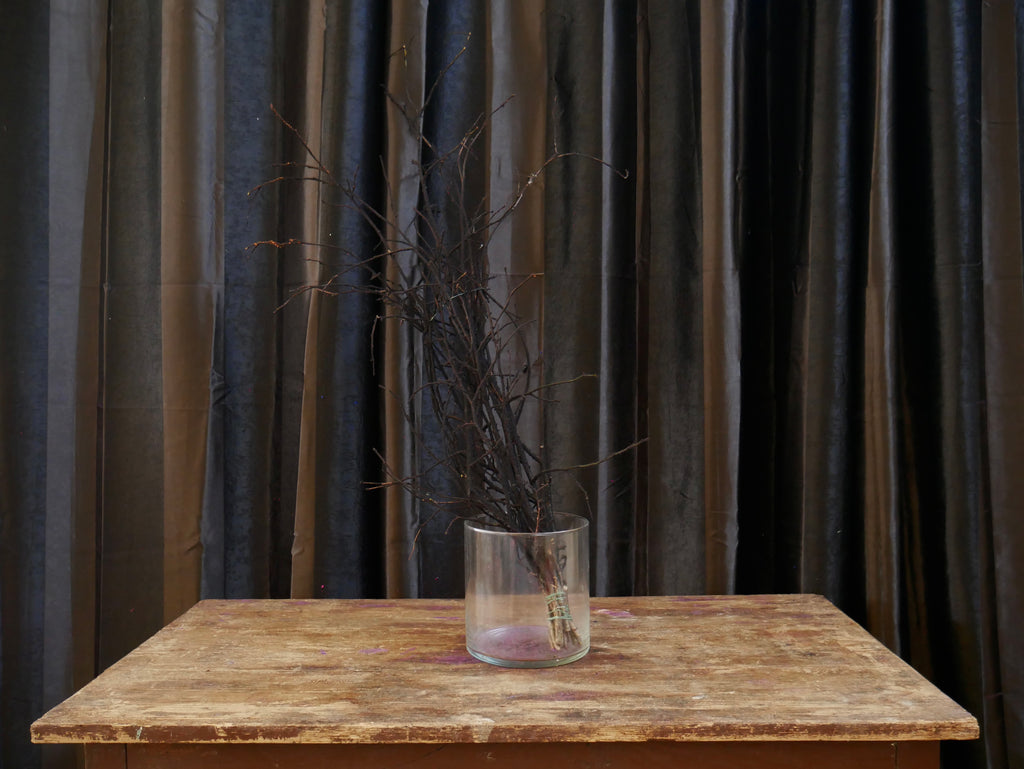 Rami Nocciolino Innevato