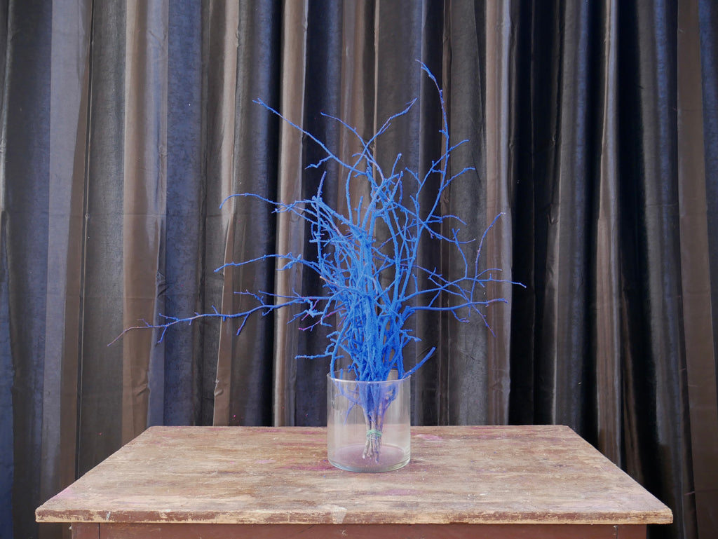 Rami Nocciolino Innevato