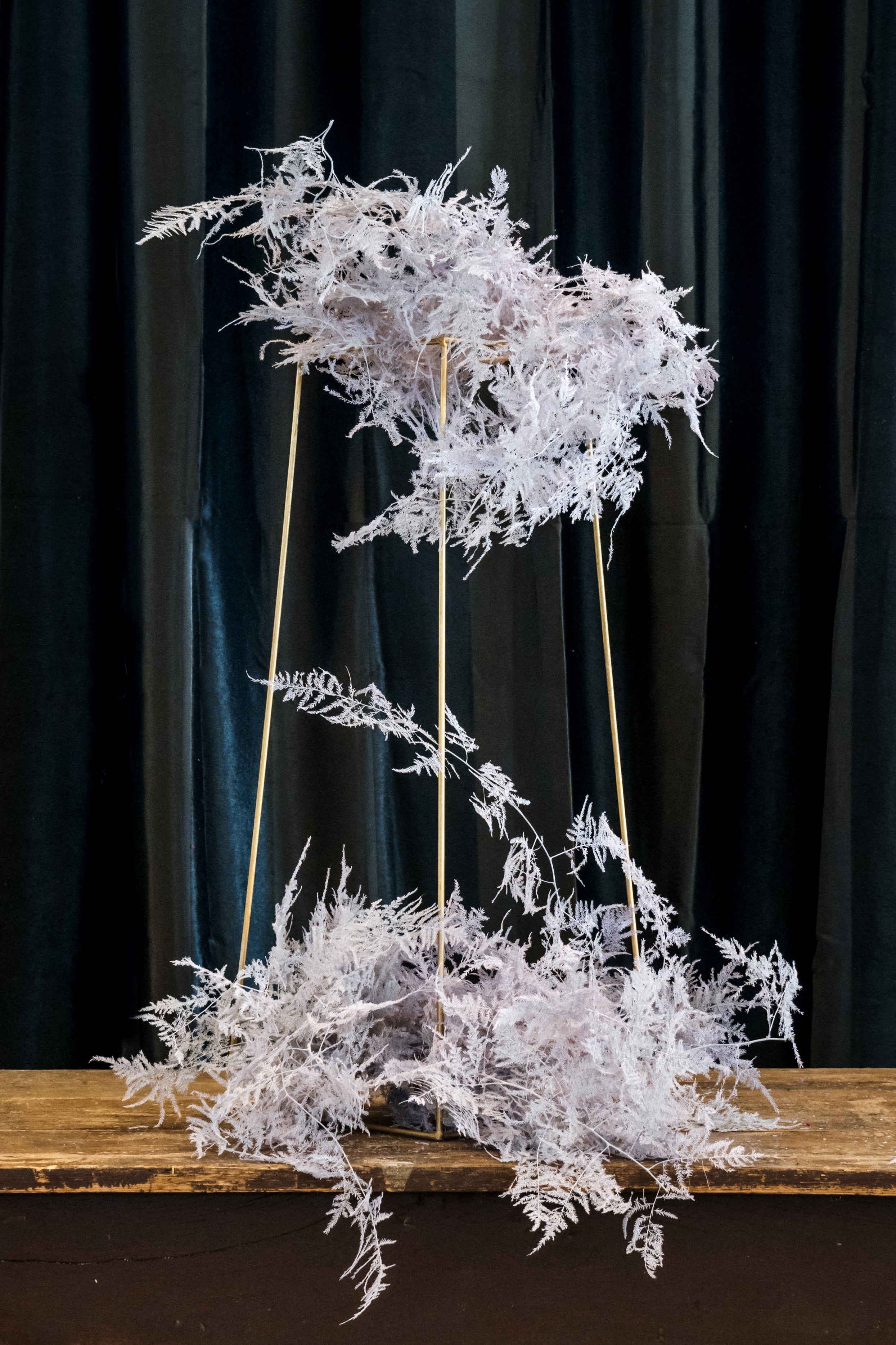 Plumoso Colorato Corto