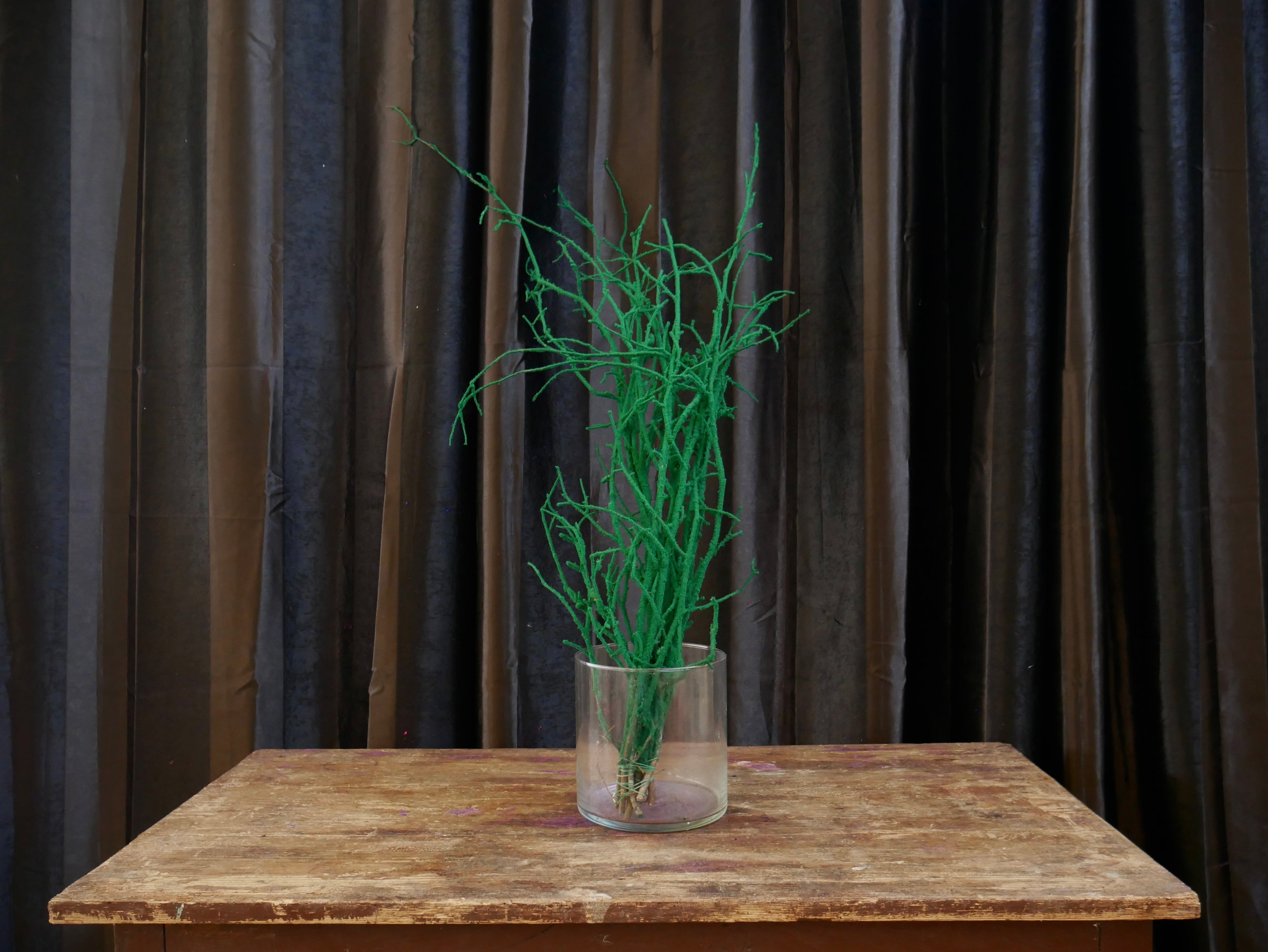 Rami Nocciolino Innevato