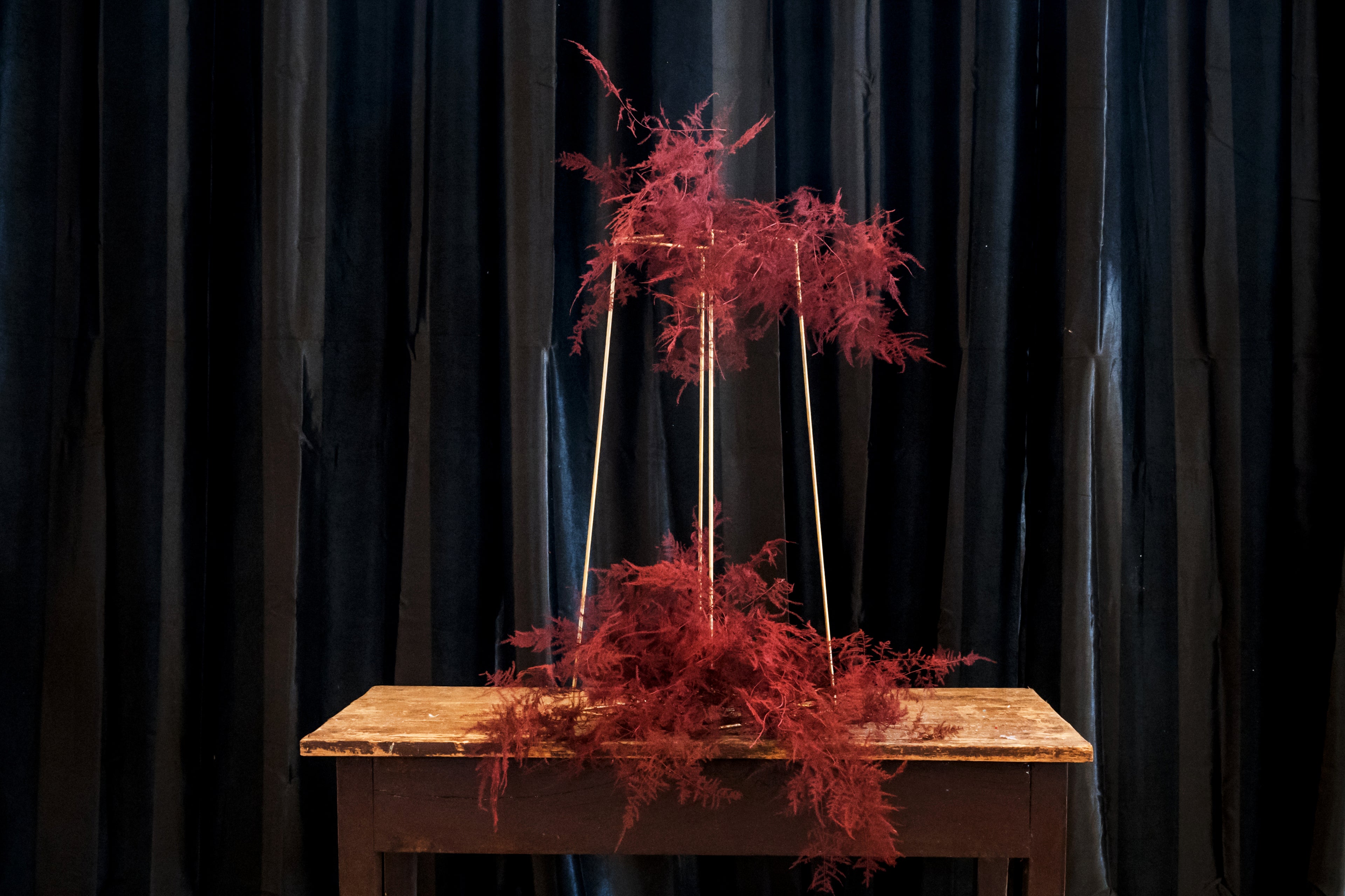 Plumoso Colorato Corto