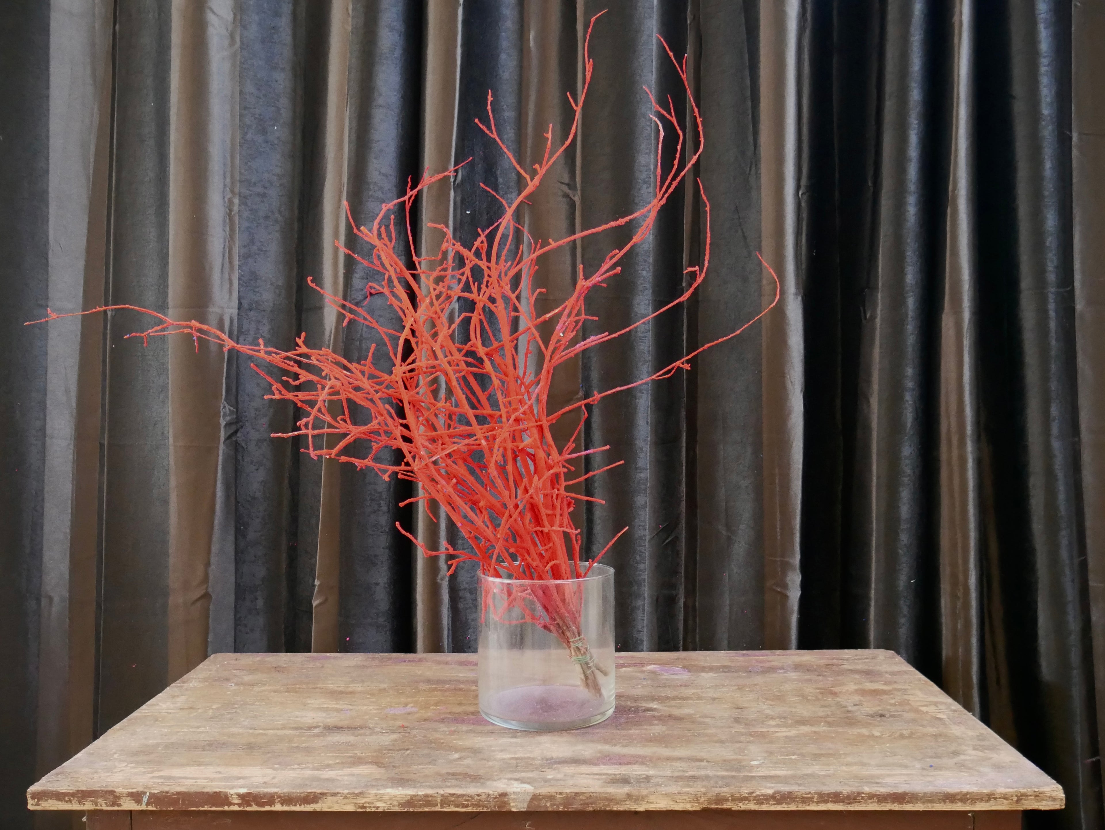 Rami Nocciolino Innevato