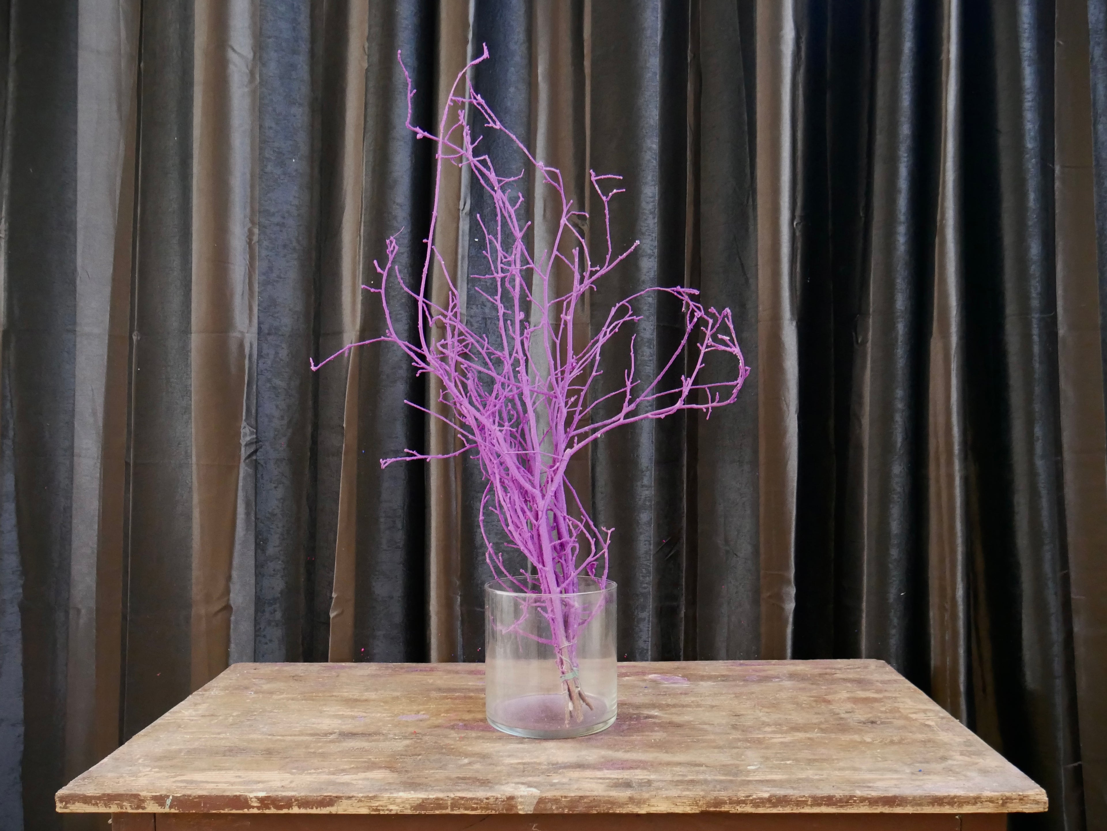 Rami Nocciolino Innevato