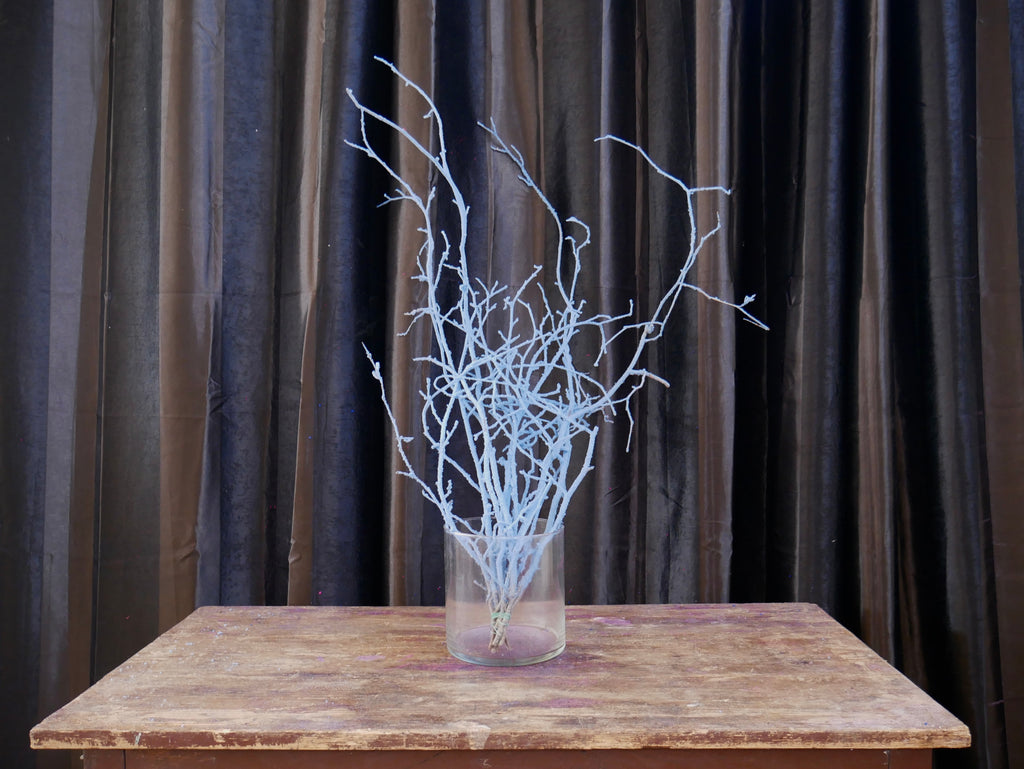 Rami Nocciolino Innevato