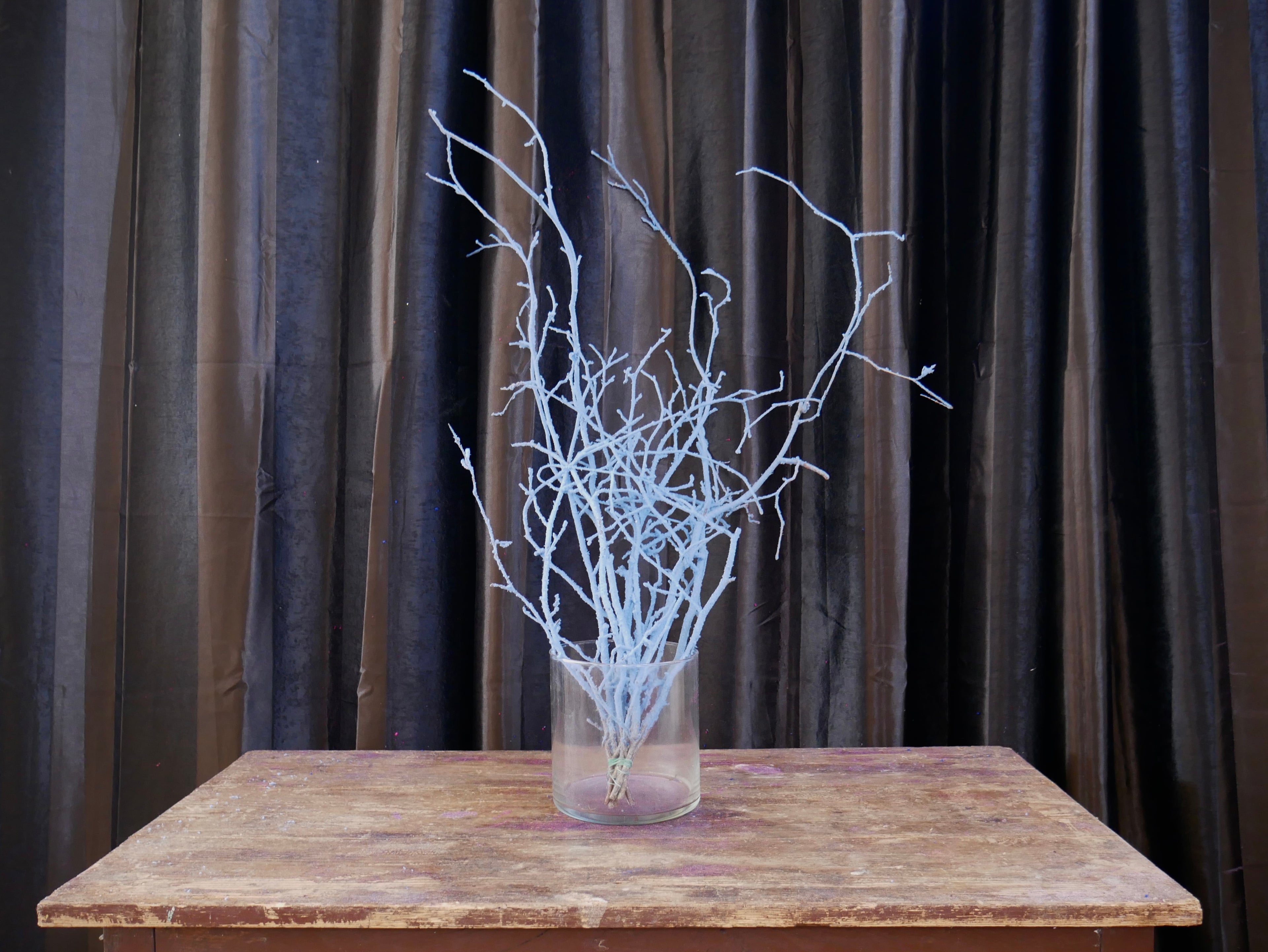 Rami Nocciolino Innevato