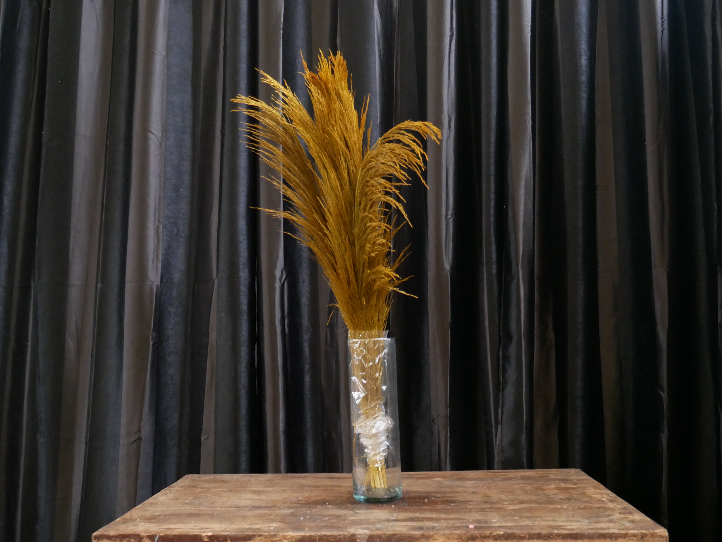 Feather pampas