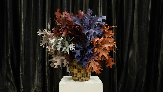 Quercia Colorata
